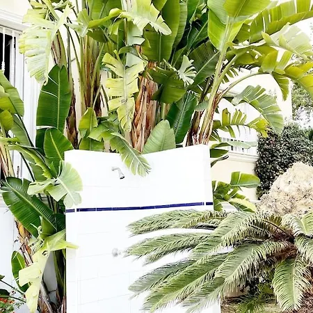 Penthouse شقة خافييا